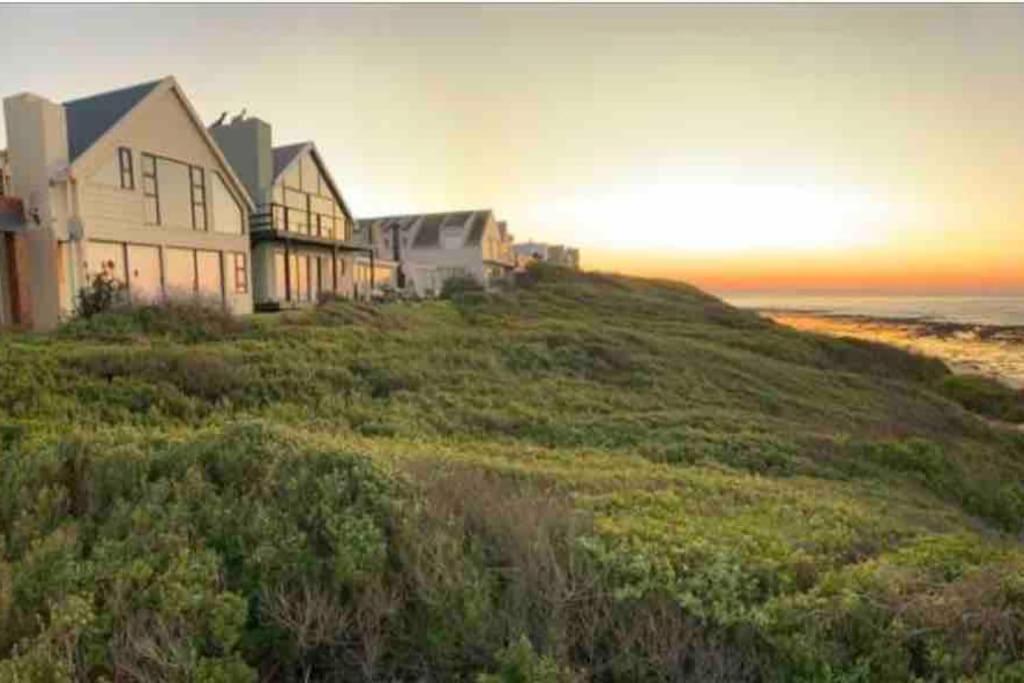 Baby Whale Bliss - Beachfront House Witsand Eksteriør billede